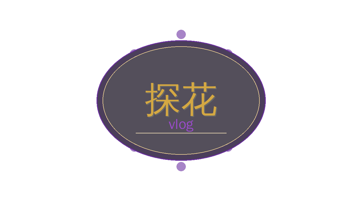 探花